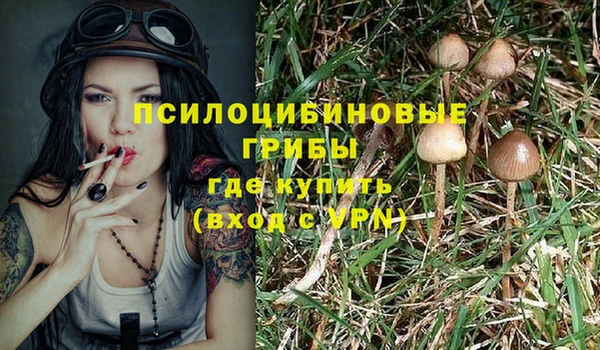 бошки Баксан