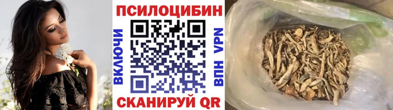 Купить где Беслан Псилоцибиновые грибы мицелий